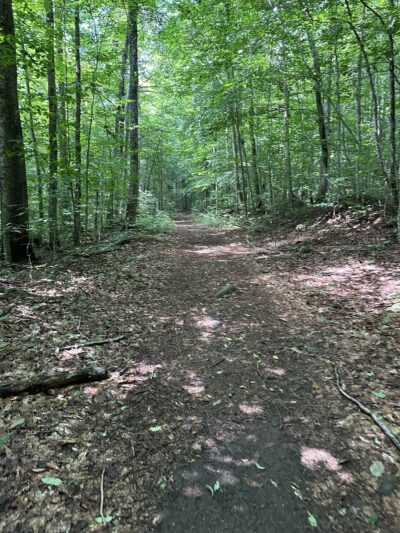 Bisby Road Trailhead Parking - Forestport, NY