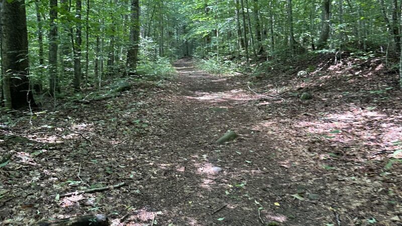 Bisby Road Trailhead Parking - Forestport, NY