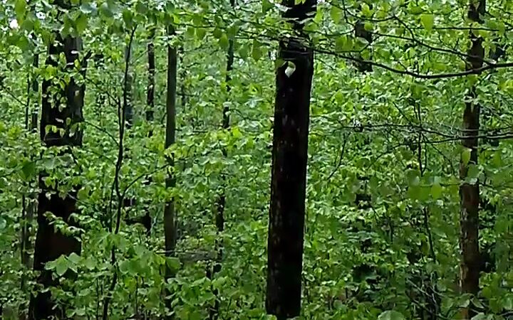 Bisby Road Trailhead Parking - Forestport, NY