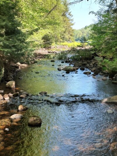 Bisby Road Trailhead Parking - Forestport, NY