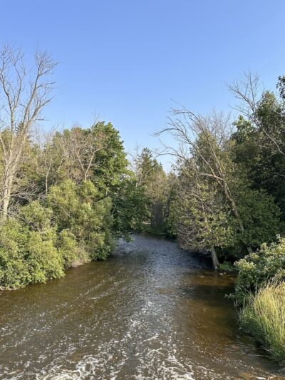 Forestville Dam County Park - Forestville, WI