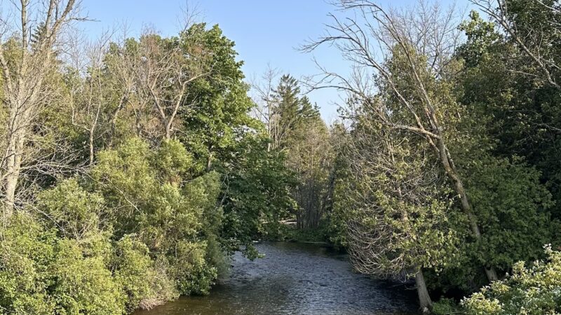 Forestville Dam County Park - Forestville, WI