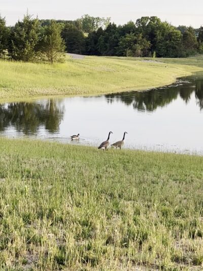 Oglesby Park - Foristell, MO