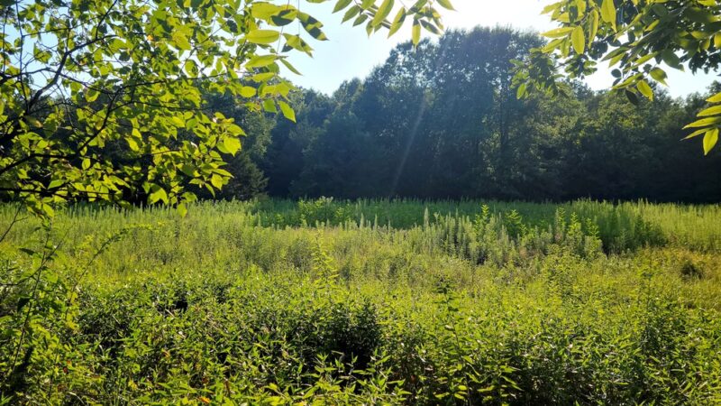 Oglesby Park - Foristell, MO