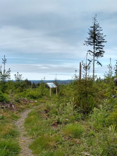 Reade Hill Trailhead - Forks, WA