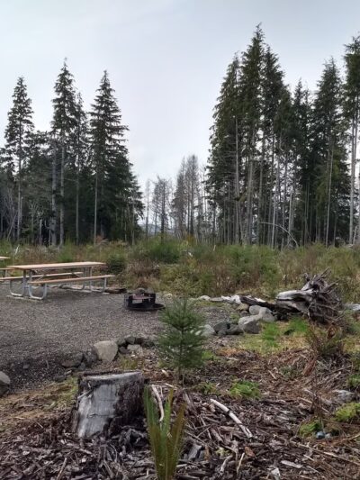 Reade Hill Trailhead - Forks, WA