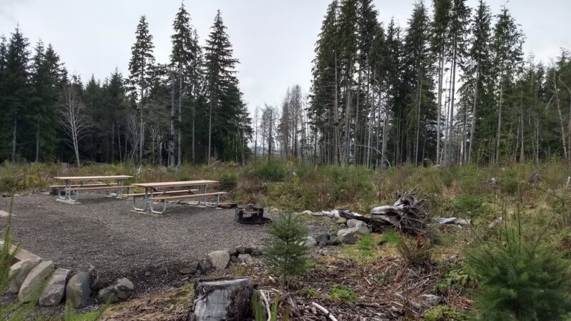 Reade Hill Trailhead - Forks, WA