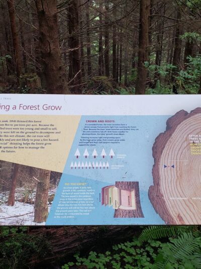 Reade Hill Trailhead - Forks, WA