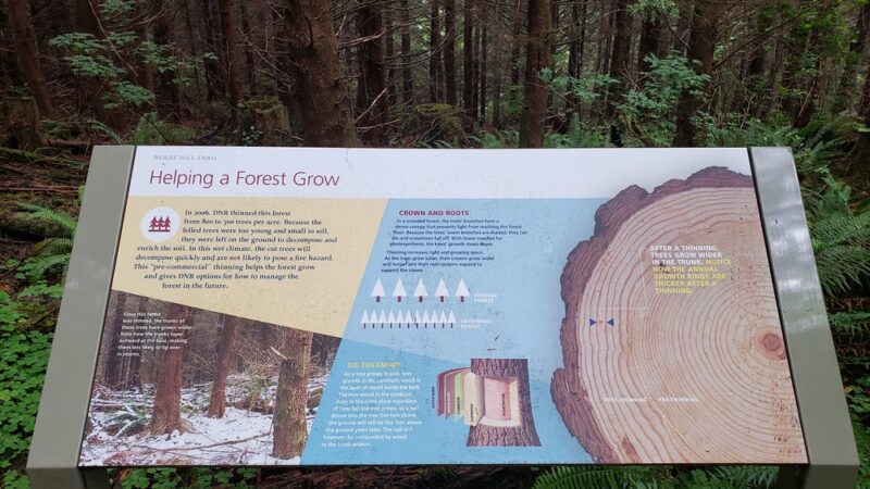 Reade Hill Trailhead - Forks, WA