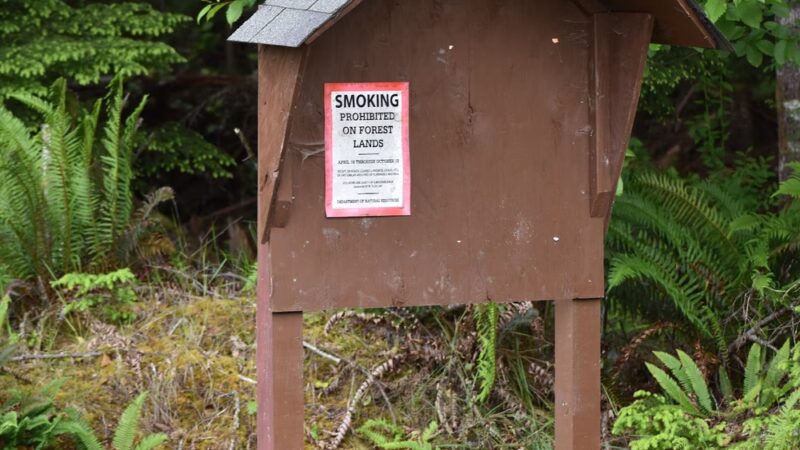 Reade Hill Trailhead - Forks, WA