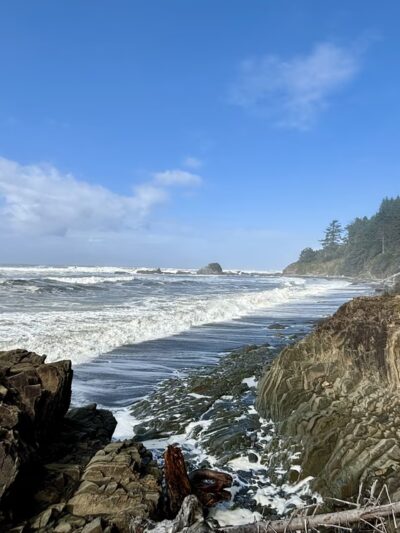 Beach 4 Nature Trail - Forks, WA