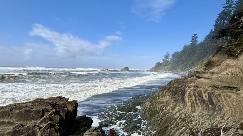 Beach 4 Nature Trail - Forks, WA