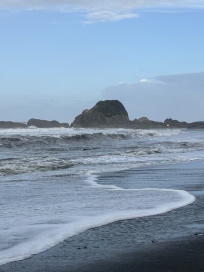 Beach 4 Nature Trail - Forks, WA