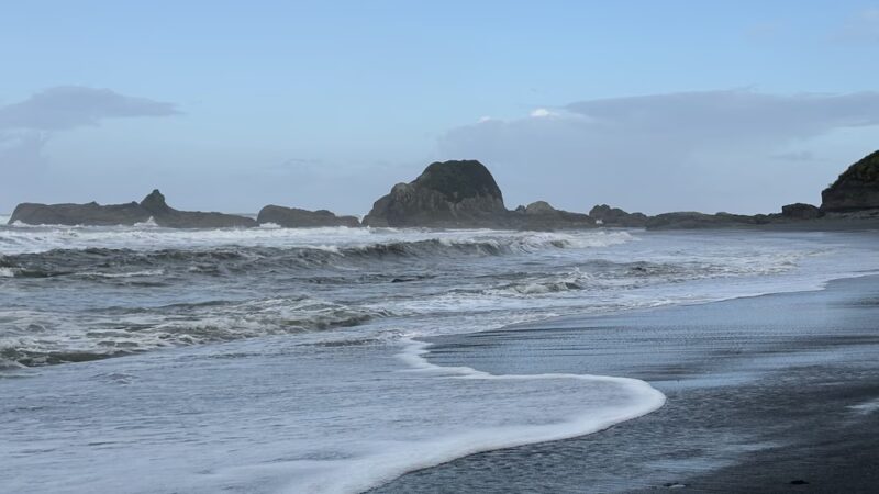 Beach 4 Nature Trail - Forks, WA
