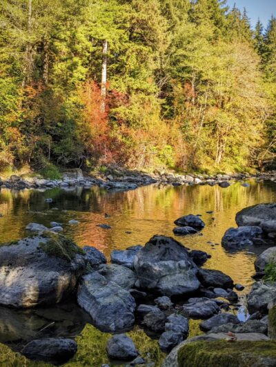 Calawah River Park - Forks, WA