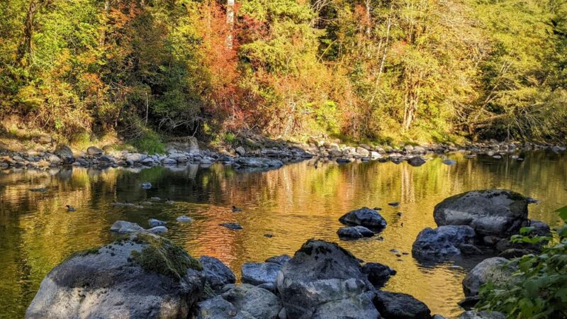 Calawah River Park - Forks, WA