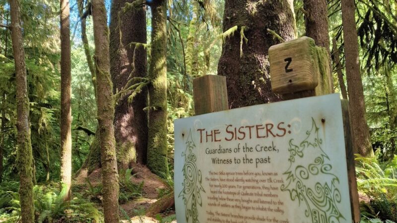 Elk Creek Conservation Area - Forks, WA