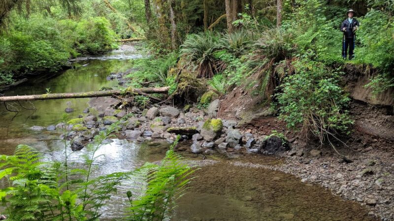Elk Creek Conservation Area - Forks, WA