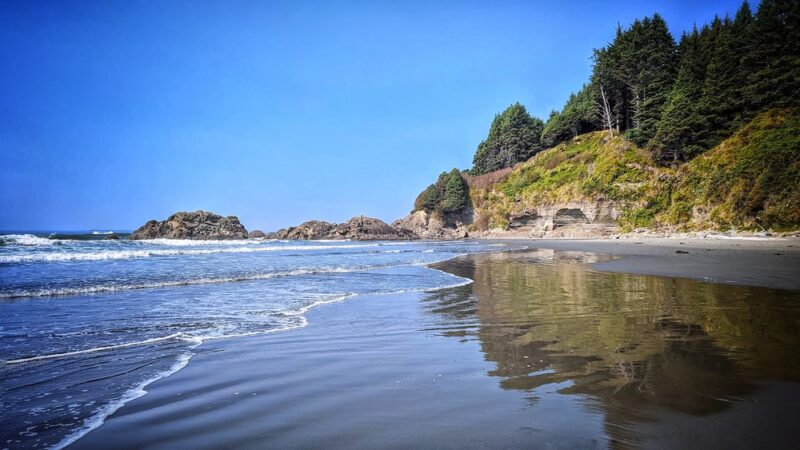 Kalaloch Public Beach Access - Forks, WA