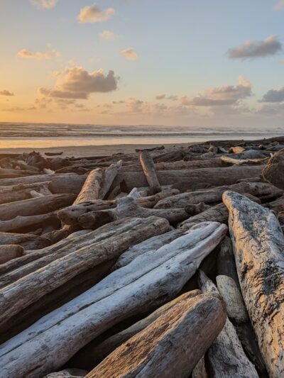 Kalaloch Public Beach Access - Forks, WA