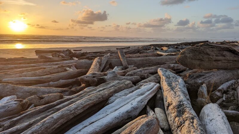 Kalaloch Public Beach Access - Forks, WA