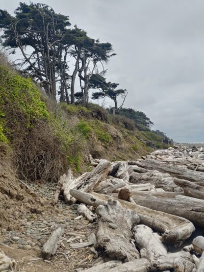 Kalaloch Public Beach Access - Forks, WA