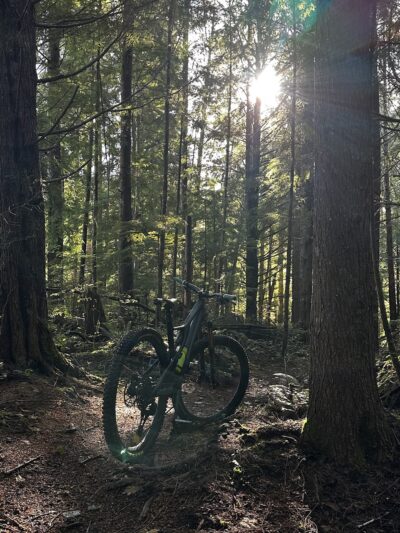 Reade Hill Hiking & MTB Trail Area - Forks, WA