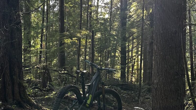 Reade Hill Hiking & MTB Trail Area - Forks, WA