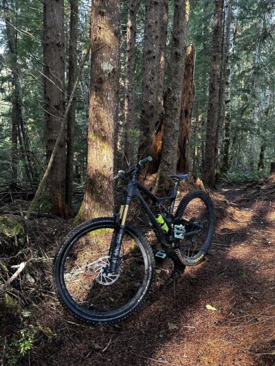 Reade Hill Hiking & MTB Trail Area - Forks, WA