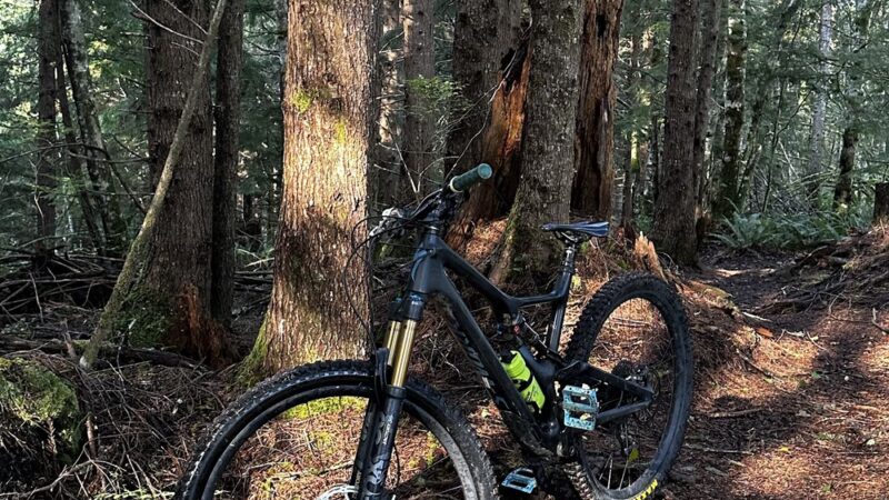 Reade Hill Hiking & MTB Trail Area - Forks, WA