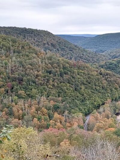 Worlds End State Park - Forksville, PA