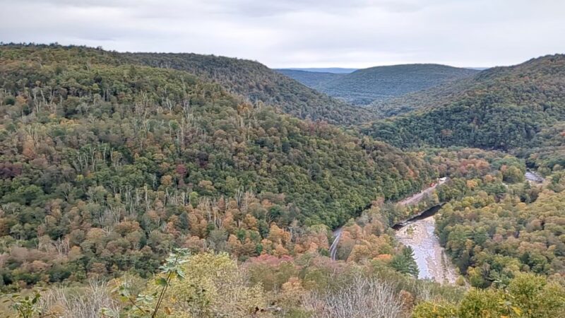 Worlds End State Park - Forksville, PA