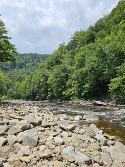 Worlds End State Park - Forksville, PA