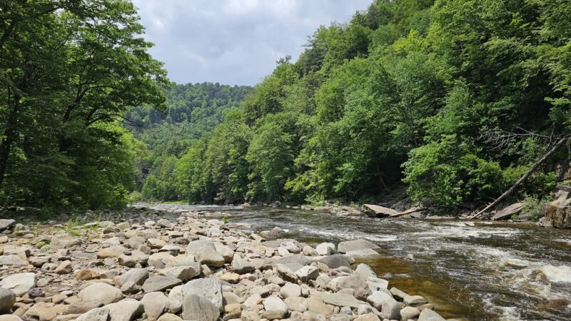Worlds End State Park - Forksville, PA