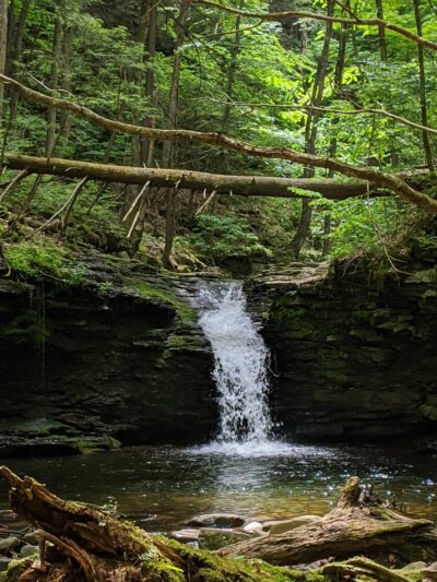 Worlds End State Park - Forksville, PA