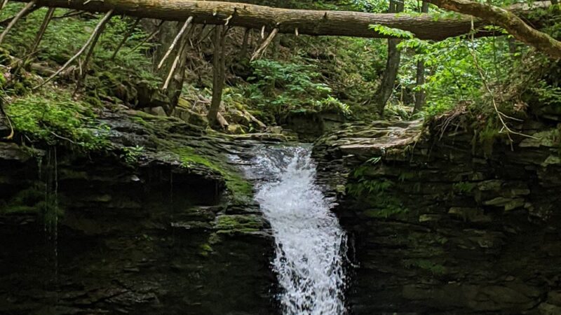 Worlds End State Park - Forksville, PA