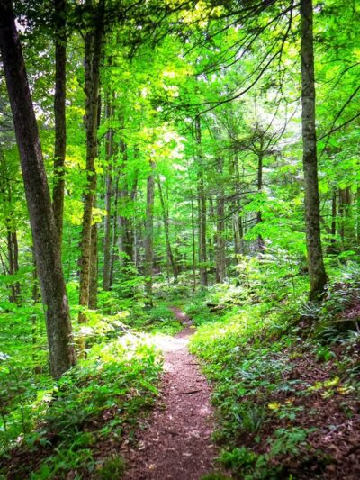 Worlds End State Park - Forksville, PA