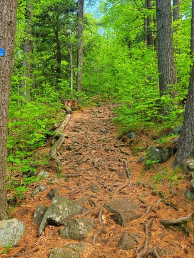 Sleeping Beauty Mountain Summit - Fort Ann, NY