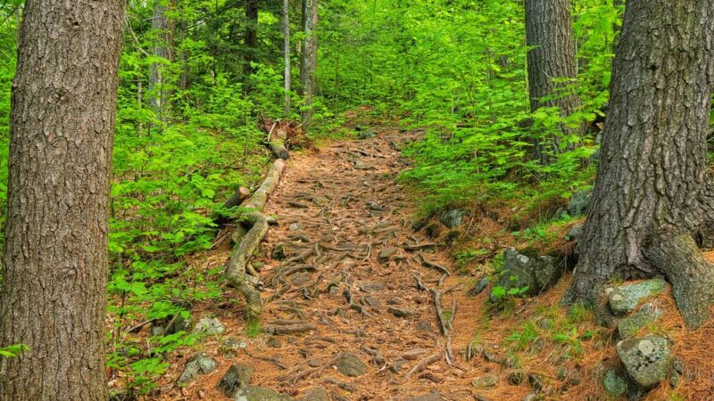 Sleeping Beauty Mountain Summit - Fort Ann, NY