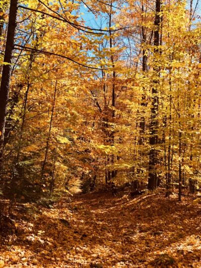 Sleeping Beauty Mountain Trailhead - Fort Ann, NY