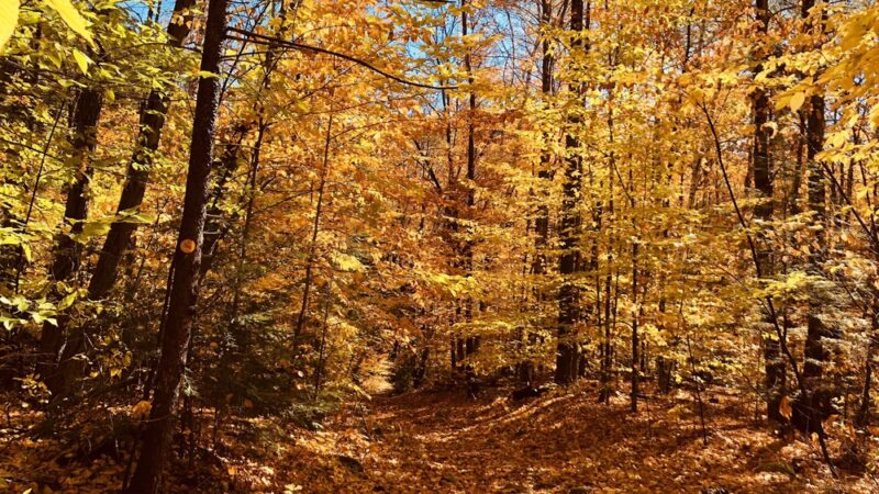 Sleeping Beauty Mountain Trailhead - Fort Ann, NY