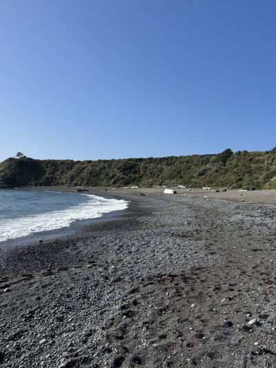 Noyo Beach Off-Leash Dog Area - Fort Bragg, CA
