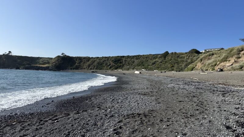 Noyo Beach Off-Leash Dog Area - Fort Bragg, CA