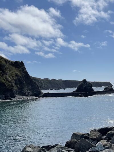 Noyo Beach Off-Leash Dog Area - Fort Bragg, CA
