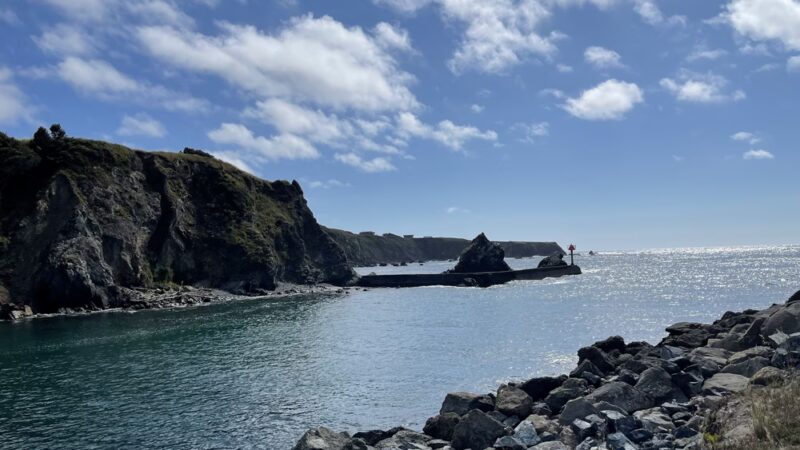 Noyo Beach Off-Leash Dog Area - Fort Bragg, CA