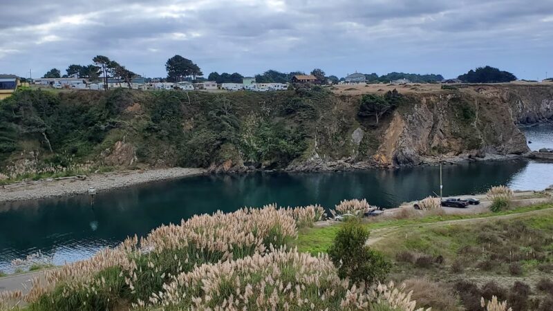 Noyo Beach Off-Leash Dog Area - Fort Bragg, CA