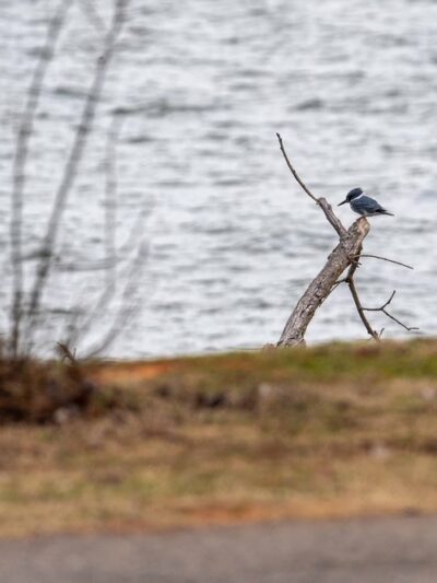 Cove Road Campground at Fort Cobb State Park - Fort Cobb, OK