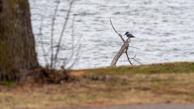 Cove Road Campground at Fort Cobb State Park - Fort Cobb, OK
