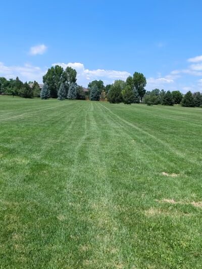 Harmony Park - Fort Collins, CO