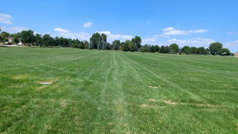 Harmony Park - Fort Collins, CO